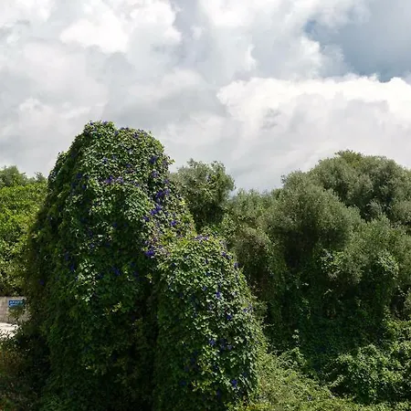 Apartmán Pernari Spartia (Kefalonia)